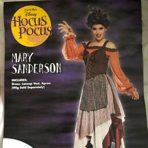 Halloween costume worn once!